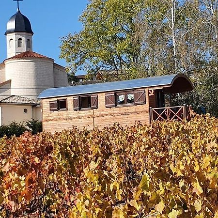 La Roulotte De Chiroubles Guest House Bagian luar foto